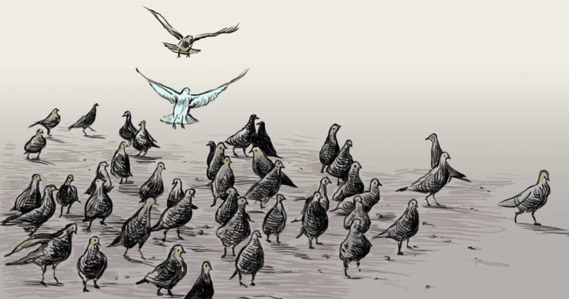 איור: עפרה אייל