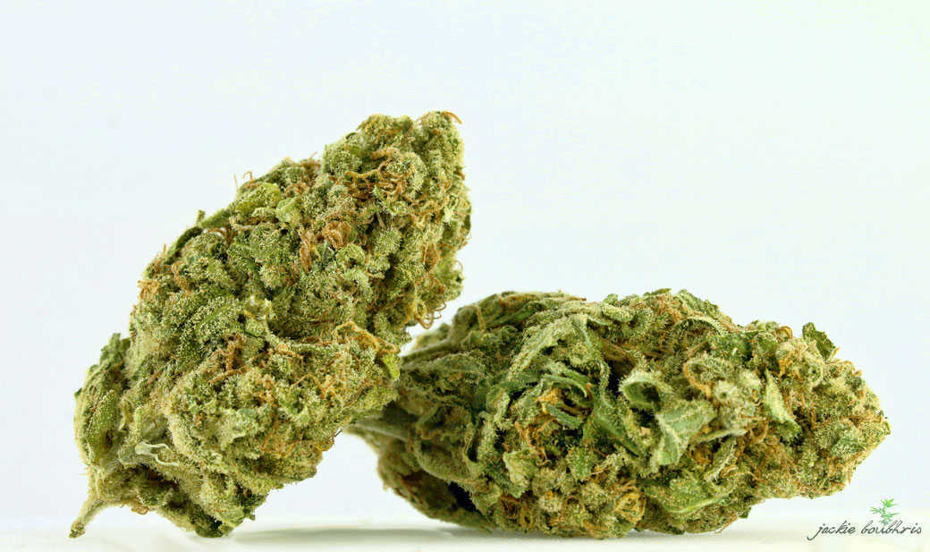 צילום: ג'קי בוכריס