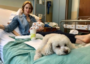 ״תחושה של אושר עוטפת אותנו, אז החלטנו לחלוק את הנס המדהים שלנו שיכול היה לקרות רק באמצעות מדע ואהבה, שנה טובה, שנה יפה ותקווה שלא אבדה. Ness = נס בעברית" | ג'יימי ועלמה