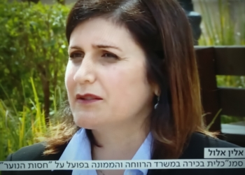 אלין אלול. טענות קשות מגורמי המקצוע נגד התנהלותה ואי שליטתה בנתונים