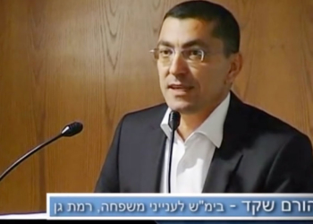 השופט יהורם שקד ביום עיון | צילום מסך