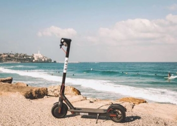 מה אכפת לציפור או לעירייה? קורקינט של חבר בירד | צילום: יח"צ