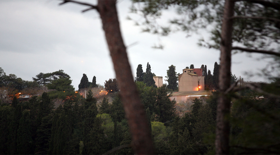 קיבוץ עין השופט. צילום: יוסי זמיר, פלאש90