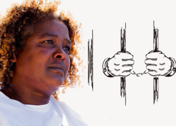 שולה מולא | צילום: גדעון אגזה