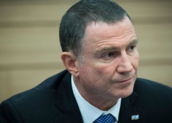 יולי אדלשטיין