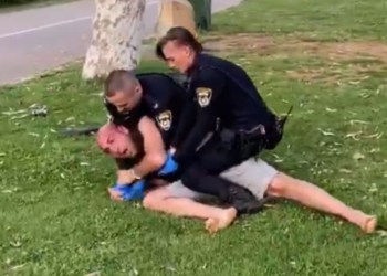 מעצר בפארק הירקון | צילום מסך מתוך סרטון של ליעד אגמון