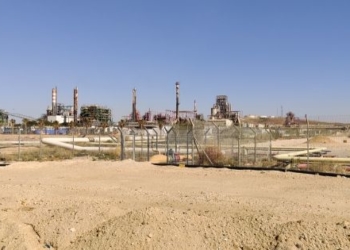 צילום: אוריאל גור דוד