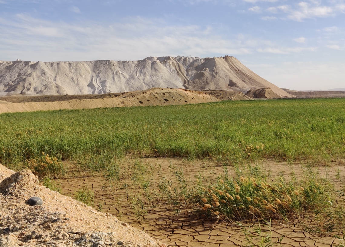 צילומים: אוריאל גור דוד