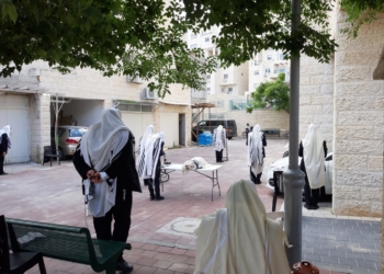 מתפללים באלעד