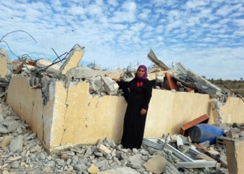 אמאל אבו סעד