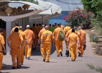 אילוסטרציה. צילום: משה שי, פלאש 90