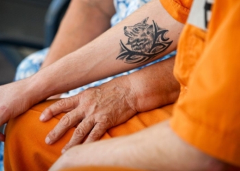 אילוסטרציה. צילום: משה שי, פלאש 90