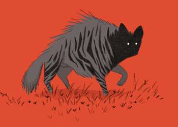 איור: עובדיה בנישו