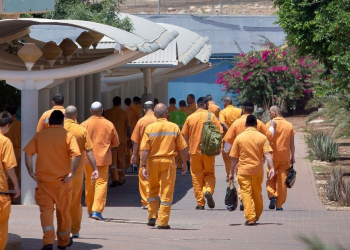 אסירים בכלא צלמון, אילוסטרציה | צילום: פלאש 90 משה שי