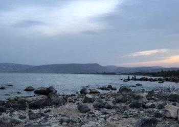 חוף אמנון | צילום: דור זומר