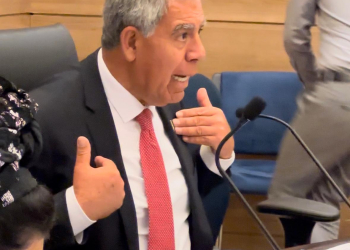 ח"כ מיקי לוי | צילום: דור זומר