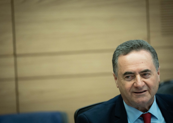 ישראל כ"ץ | צילום: יונתן זינדל, פלאש90