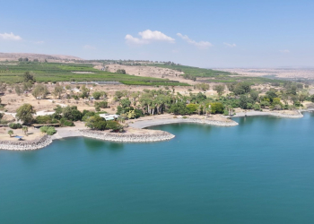 חוף אמנון | צילום: שמואל מגל