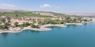 חוף אמנון | צילום: שמואל מגל