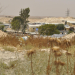 הכפר הבדואי ואדי נעם, יוני השנה. צילום: יעל געתון