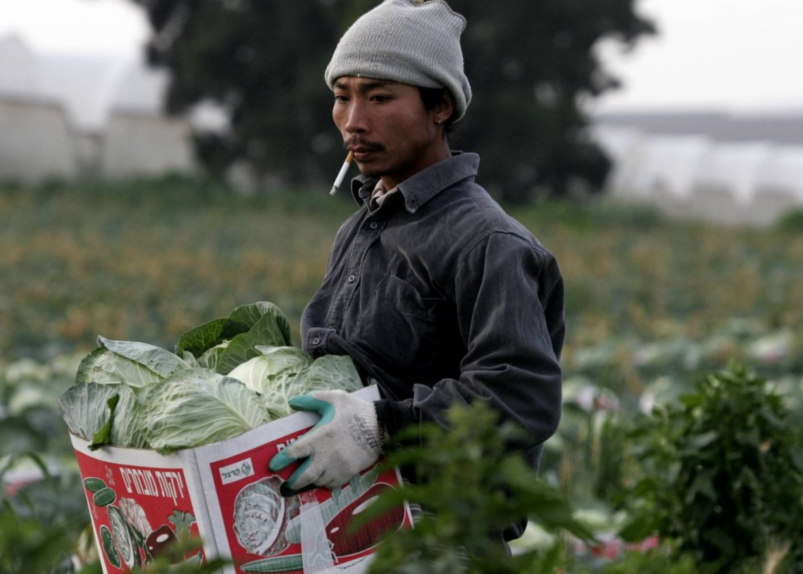 עובד מתאילנד בקיבוץ ניר עוז | צילום ארכיון: עדי ישראל, פלאש90