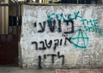 צילום: דור זומר